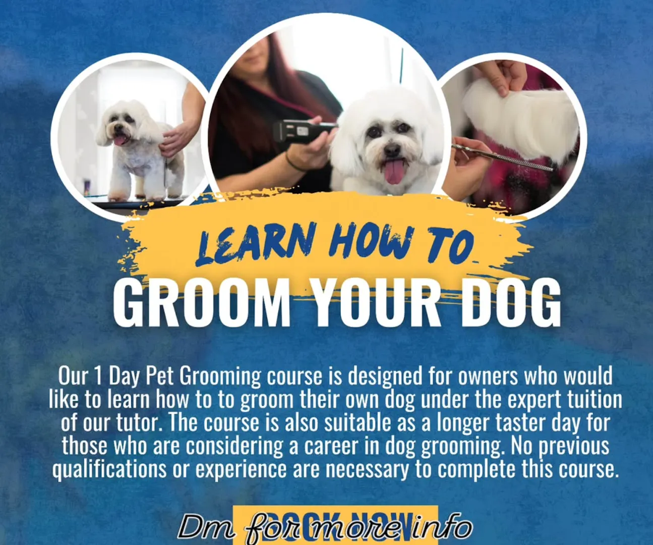 Pawfect Style Dog Grooming SPA · Photos 2
