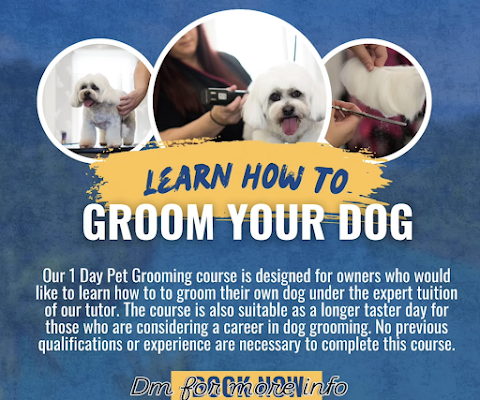 Pawfect Style Dog Grooming SPA · Photos 14